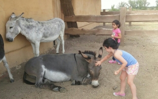 dónde ir de vacaciones con niños en agosto