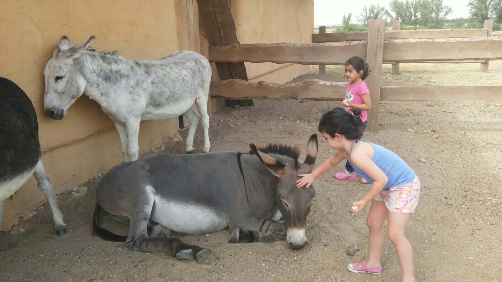 dónde ir de vacaciones con niños en agosto