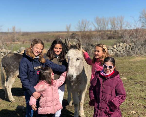 burro granja el enebral