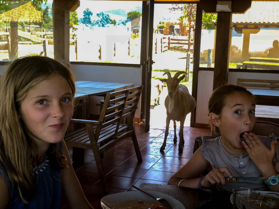 vacaciones diferentes con niños