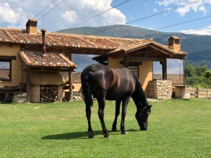 Granja-El-Enebral-Alojamiento-rural-5