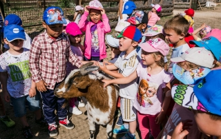 experiencias con niños en Madrid