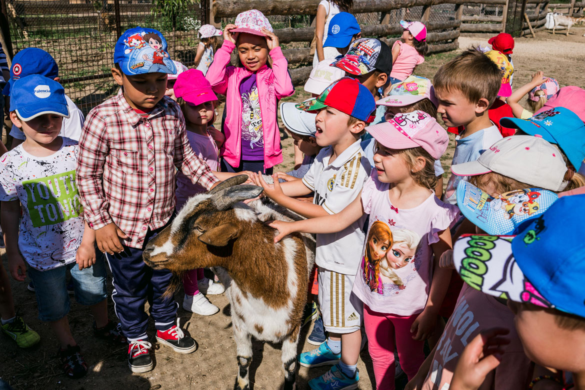 experiencias con niños en Madrid